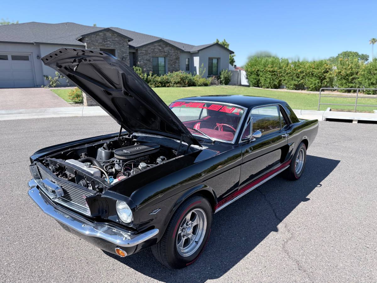 Ford-mustang-shelby-gt350-1966-11