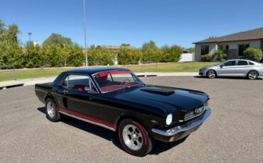 Ford-mustang-shelby-gt350-1966-14
