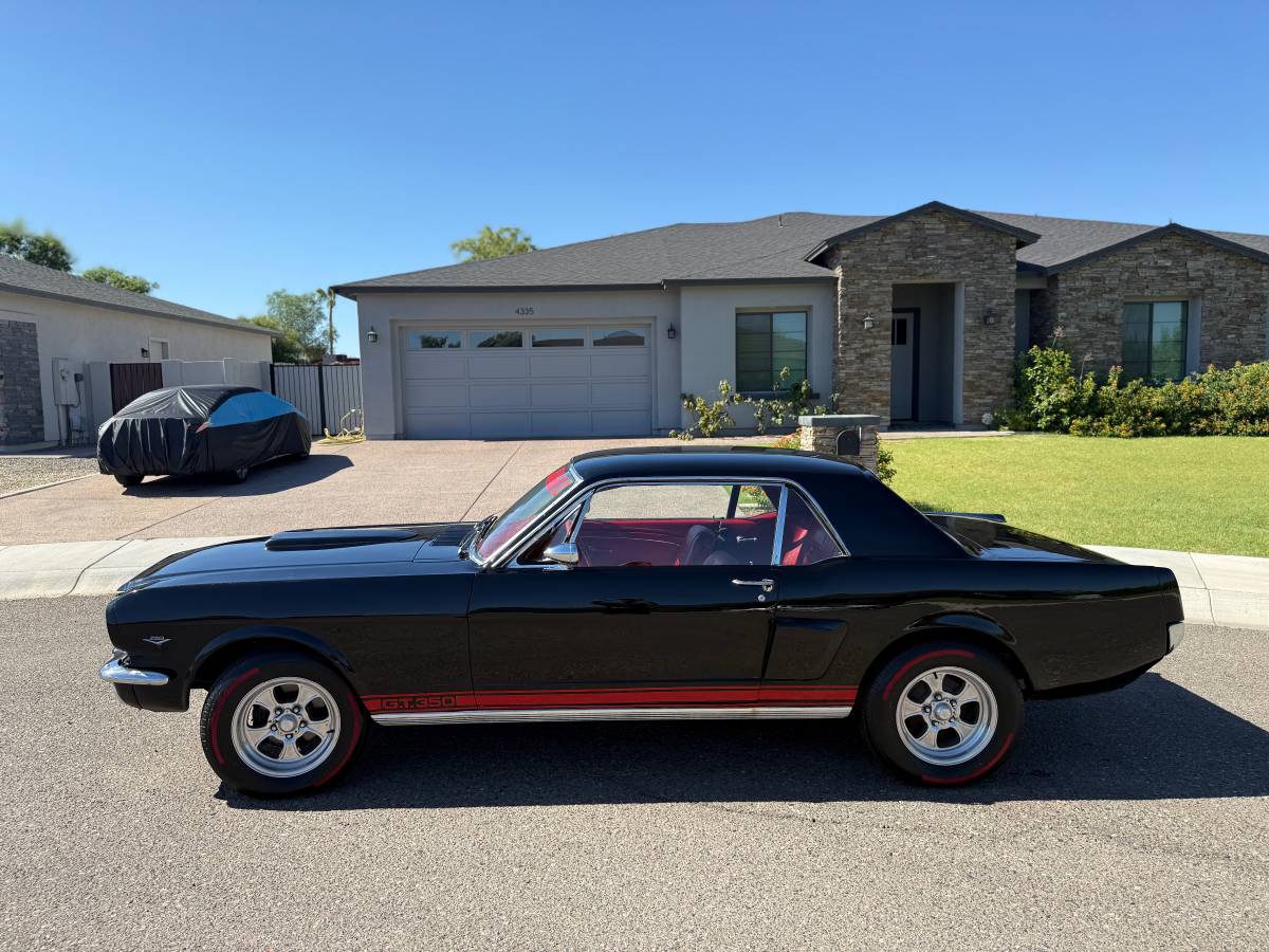 Ford-mustang-shelby-gt350-1966-2