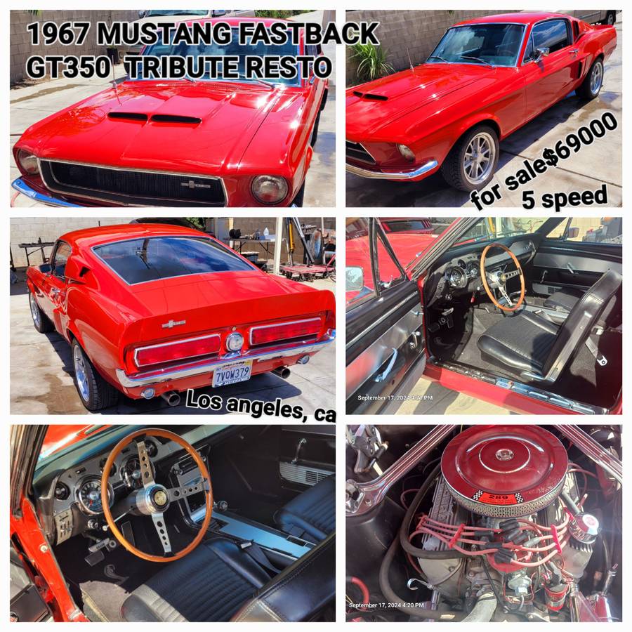 Ford-mustang-shelby-gt350-1967