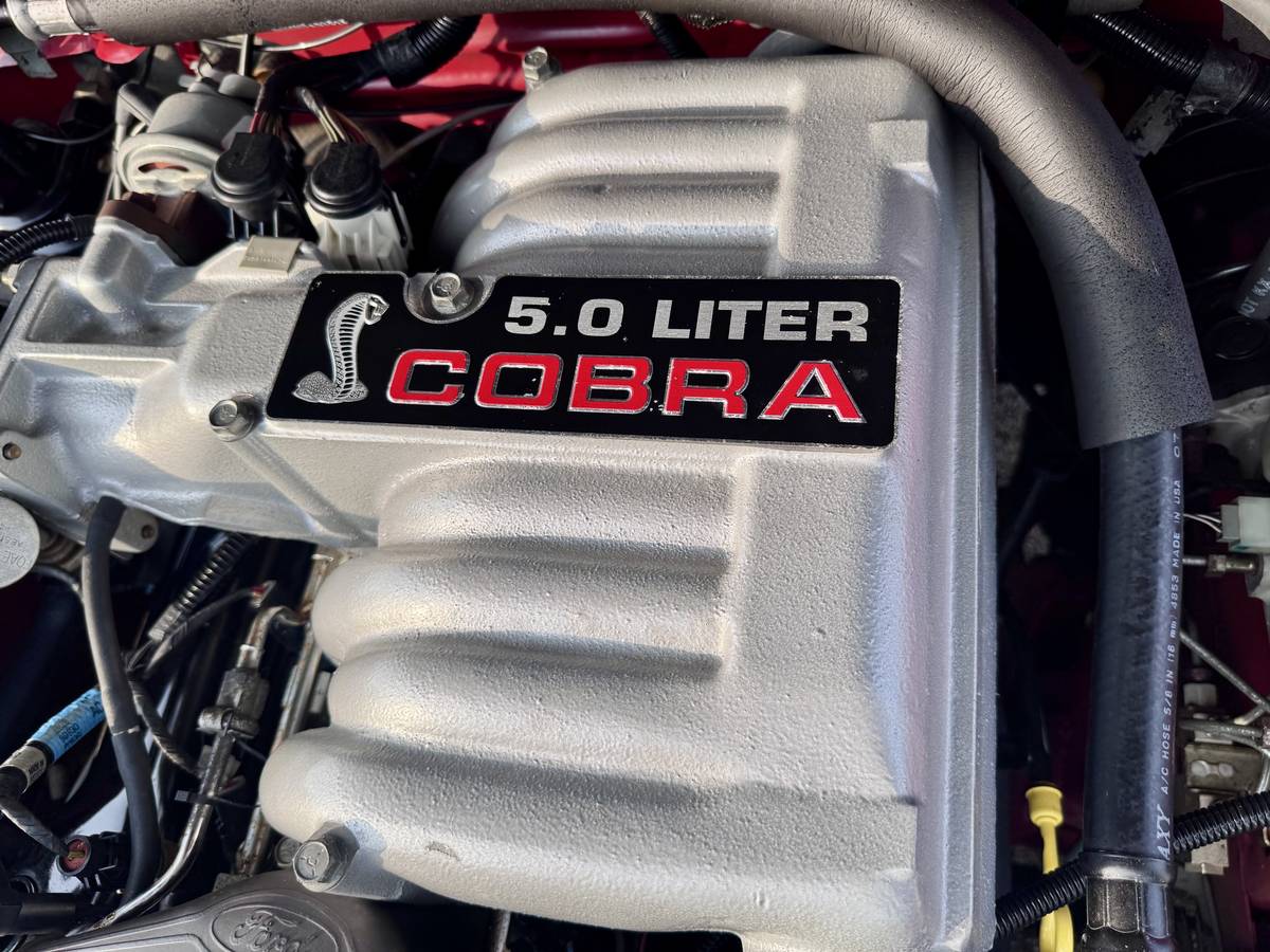 Ford-mustang-svt-cobra-1993-red-28
