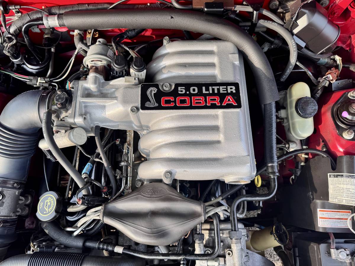 Ford-mustang-svt-cobra-1993-red-55