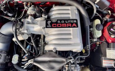 Ford-mustang-svt-cobra-1993-red-7