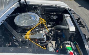 Ford-mustang-v8-1965-white-19