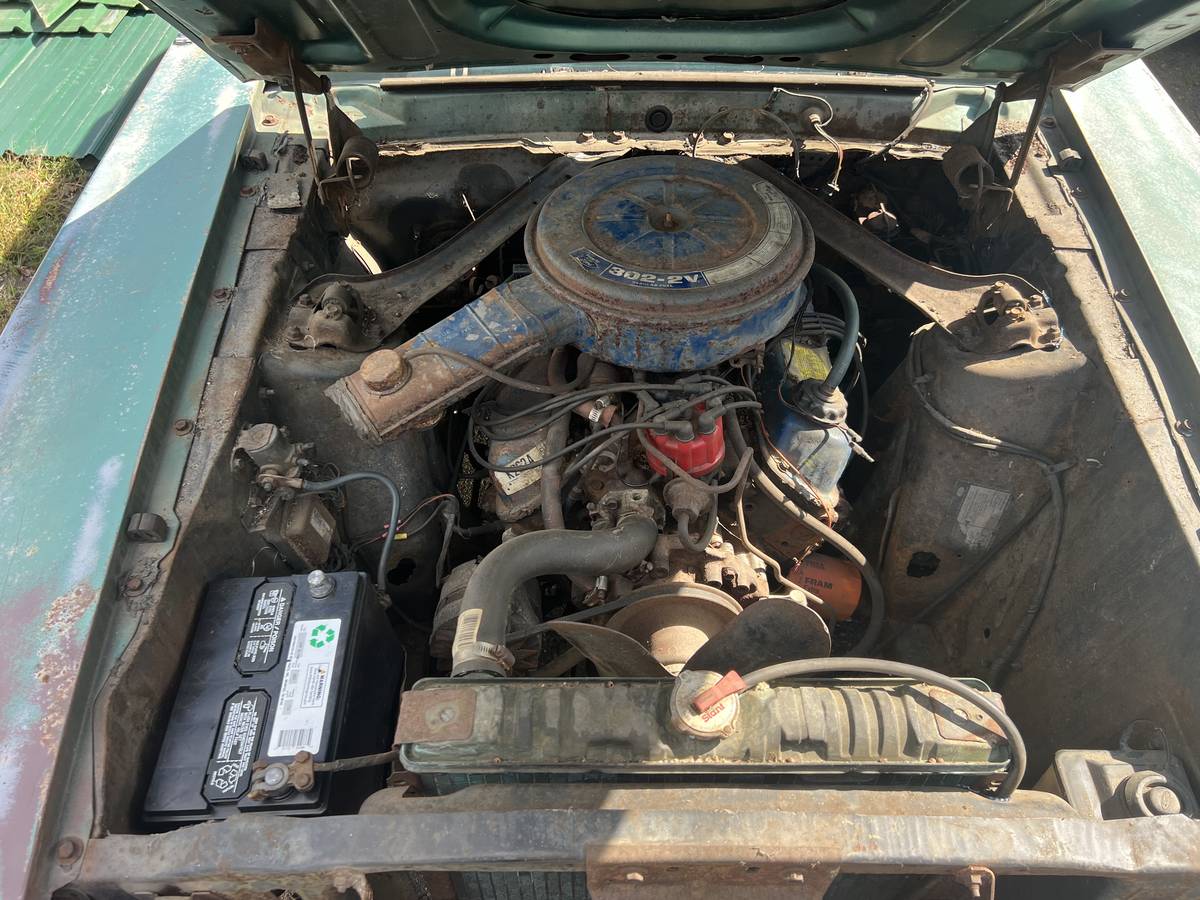 Ford-mustang-v8-1969-green-15