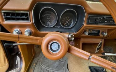 Ford-pinto-1977-brown-4