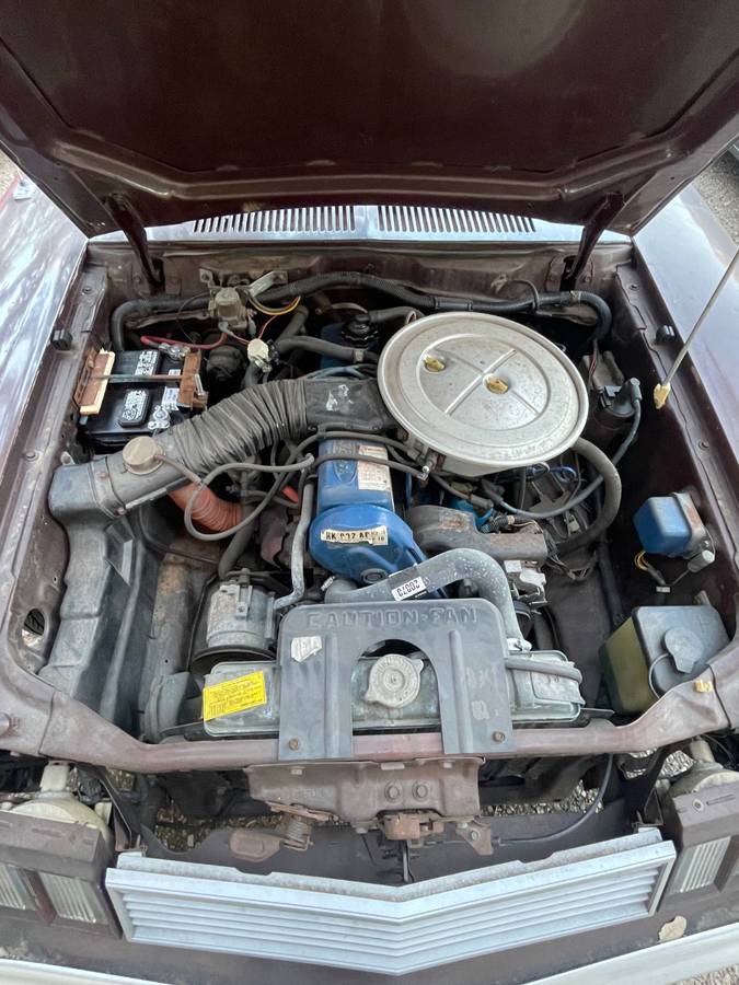 Ford-pinto-1977-brown-5