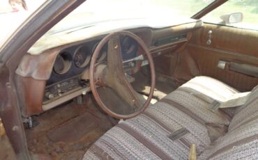 Ford-ranchero-1974-brown-11