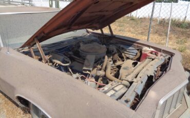 Ford-ranchero-1974-brown-12