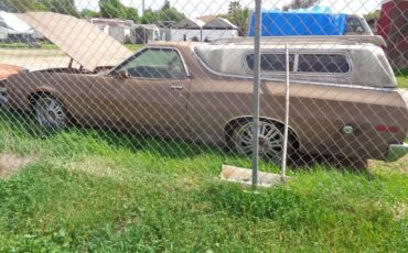 Ford-ranchero-1974-brown