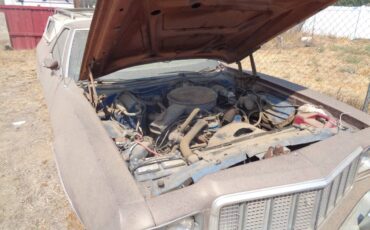 Ford-ranchero-1974-brown-4
