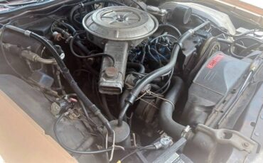 Ford-ranchero-1978-brown-10