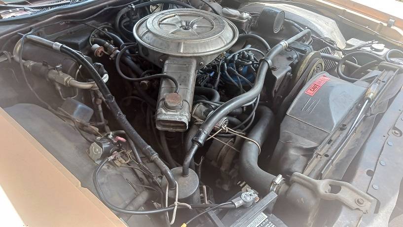 Ford-ranchero-1978-brown-10