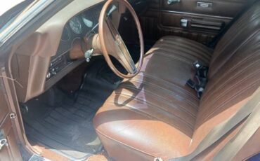Ford-ranchero-1978-brown-8