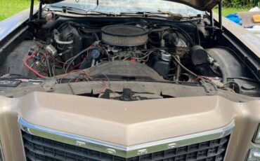 Ford-ranchero-and-chevy-corvette-1977-5