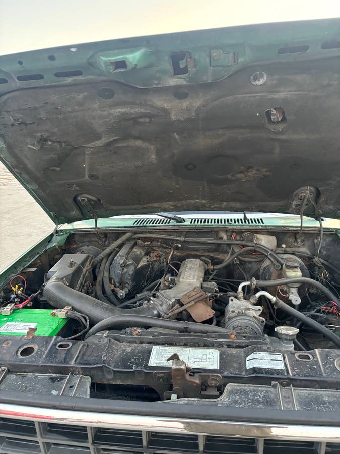 Ford-ranger-1987-green-13