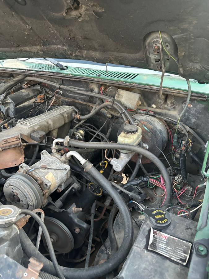 Ford-ranger-1987-green-14