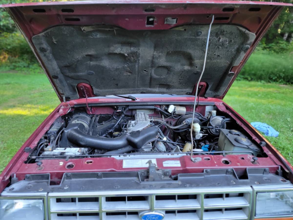 Ford-ranger-1989-red-13