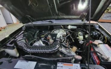 Ford-ranger-4.0-4x4-1993-black-2