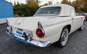Ford-thunderbird-1955-white-1