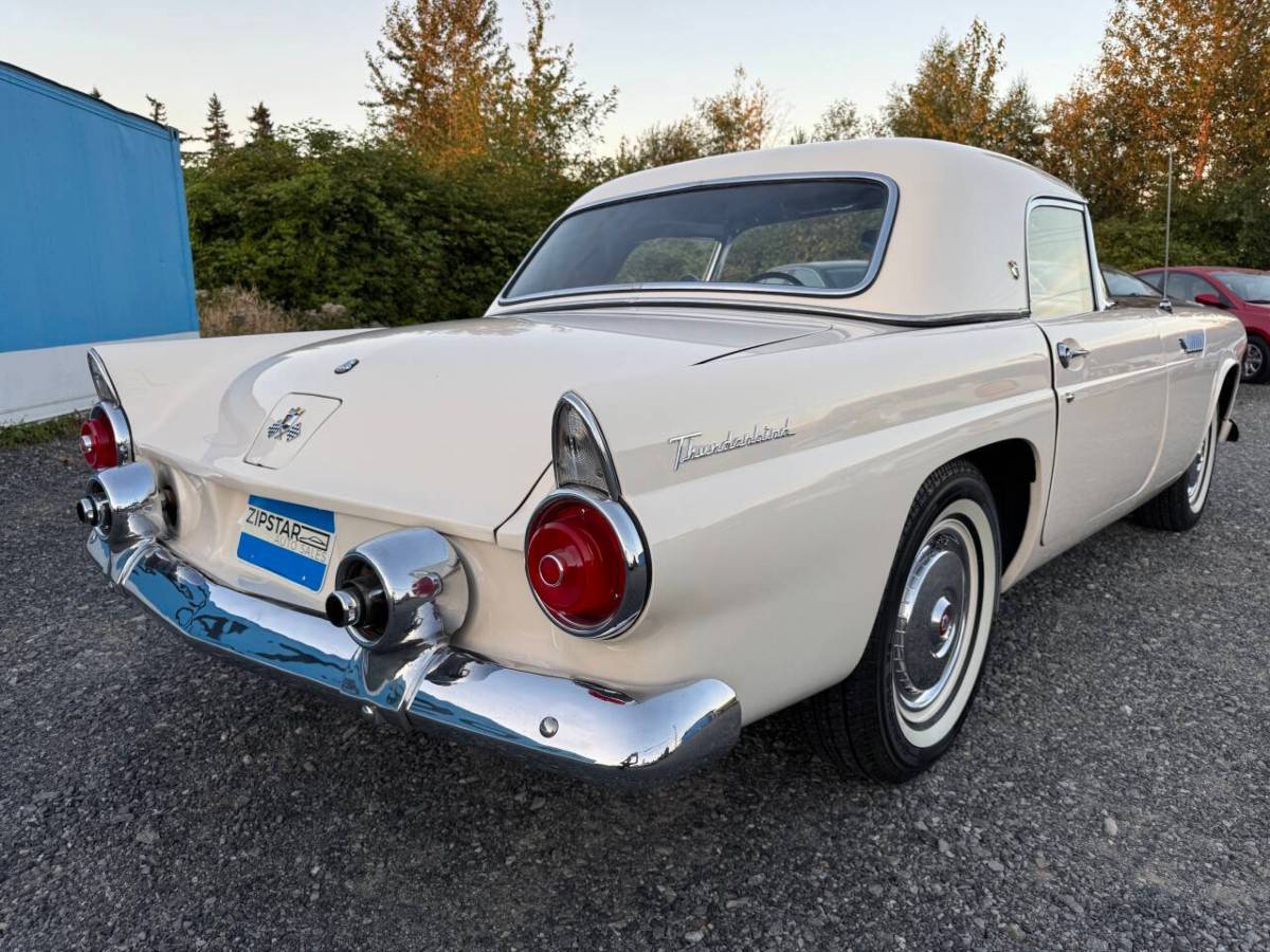 Ford-thunderbird-1955-white-1