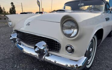 Ford-thunderbird-1955-white-10