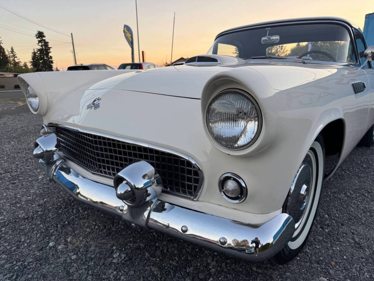 Ford-thunderbird-1955-white-10