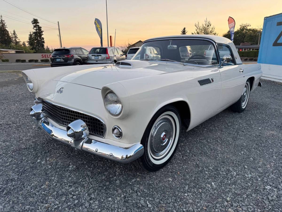 Ford-thunderbird-1955-white-12