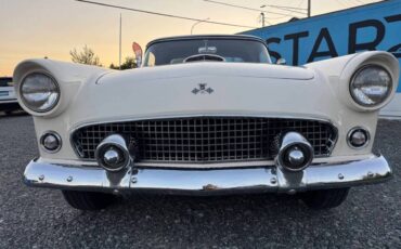 Ford-thunderbird-1955-white-15