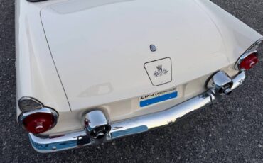 Ford-thunderbird-1955-white-4