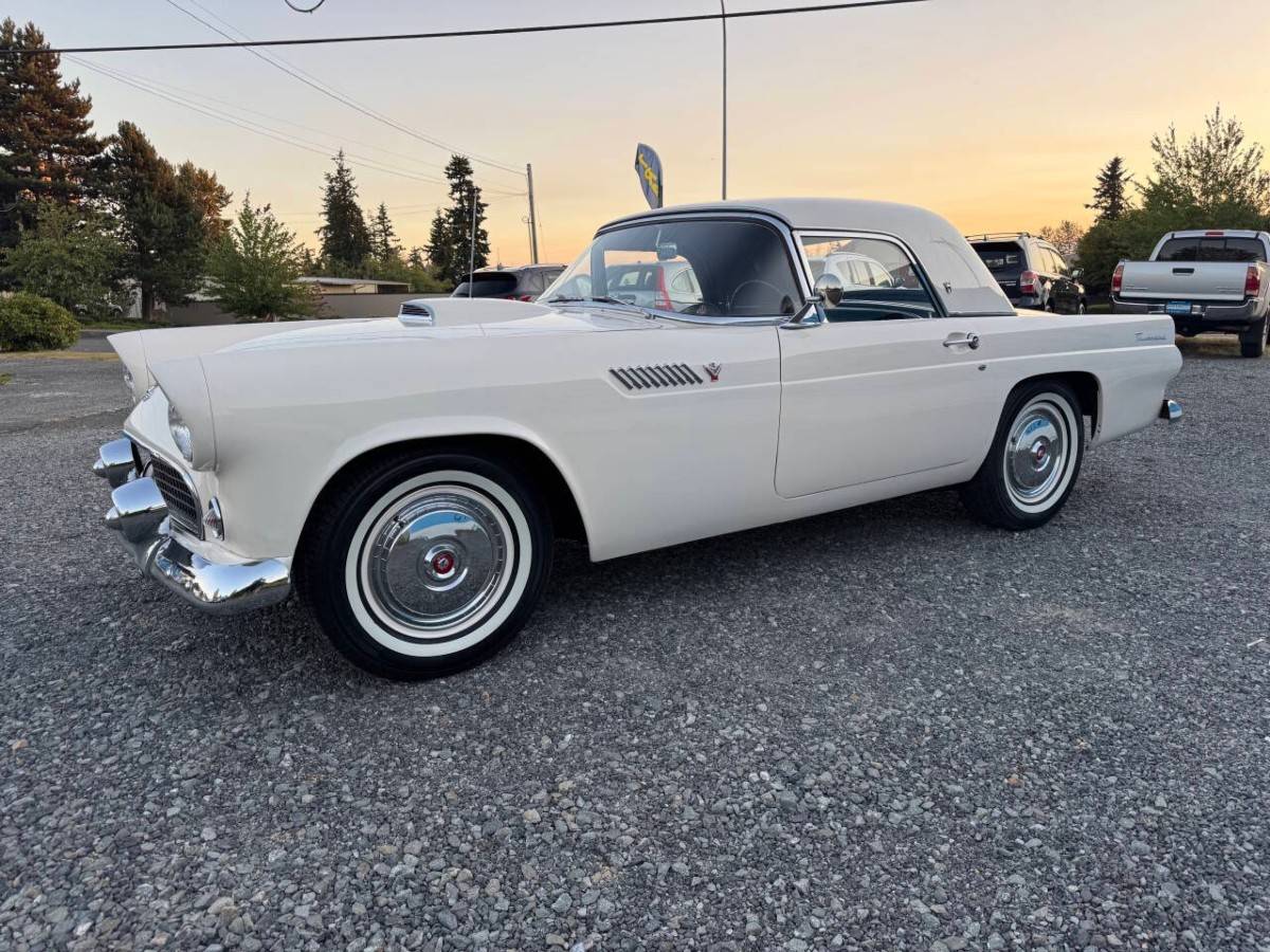 Ford-thunderbird-1955-white-8