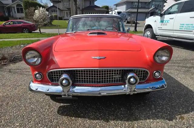 Ford-thunderbird-1956-1