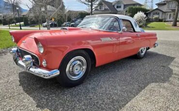 Ford-thunderbird-1956