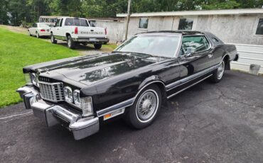 Ford-thunderbird-1976-black-6