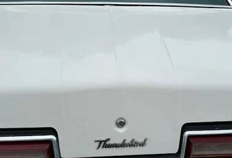 Ford-thunderbird-1977-13