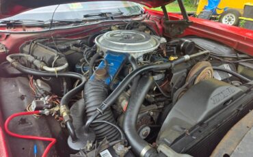 Ford-thunderbird-1977-red-22