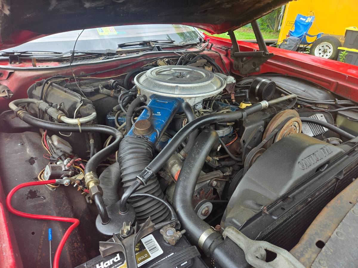 Ford-thunderbird-1977-red-22