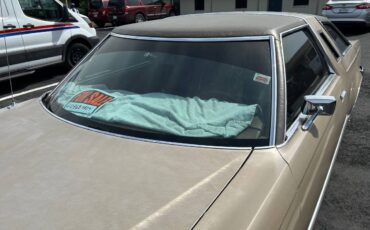Ford-thunderbird-1977-silver-6