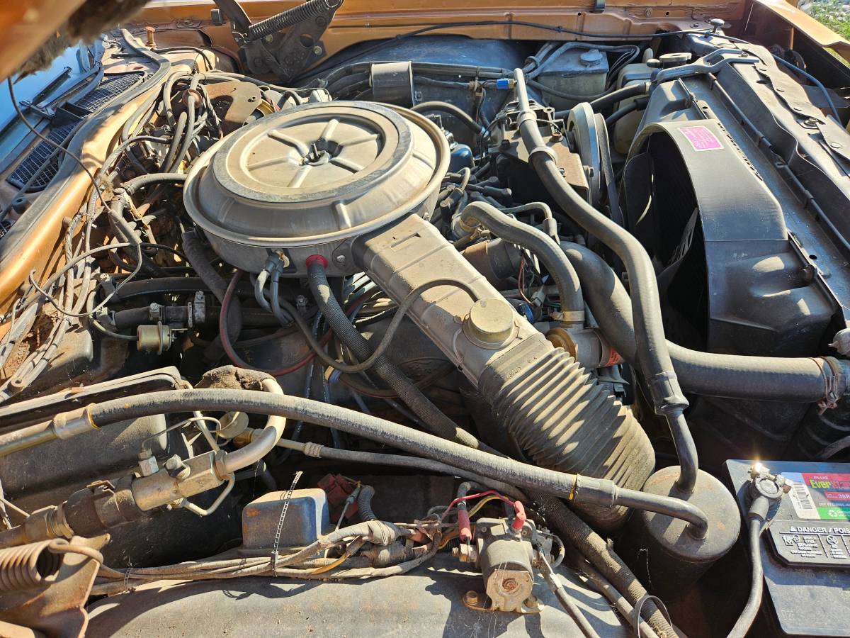 Ford-thunderbird-1978-10