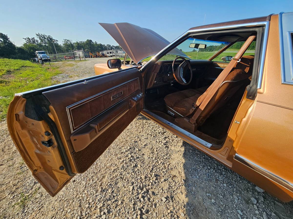 Ford-thunderbird-1978-13