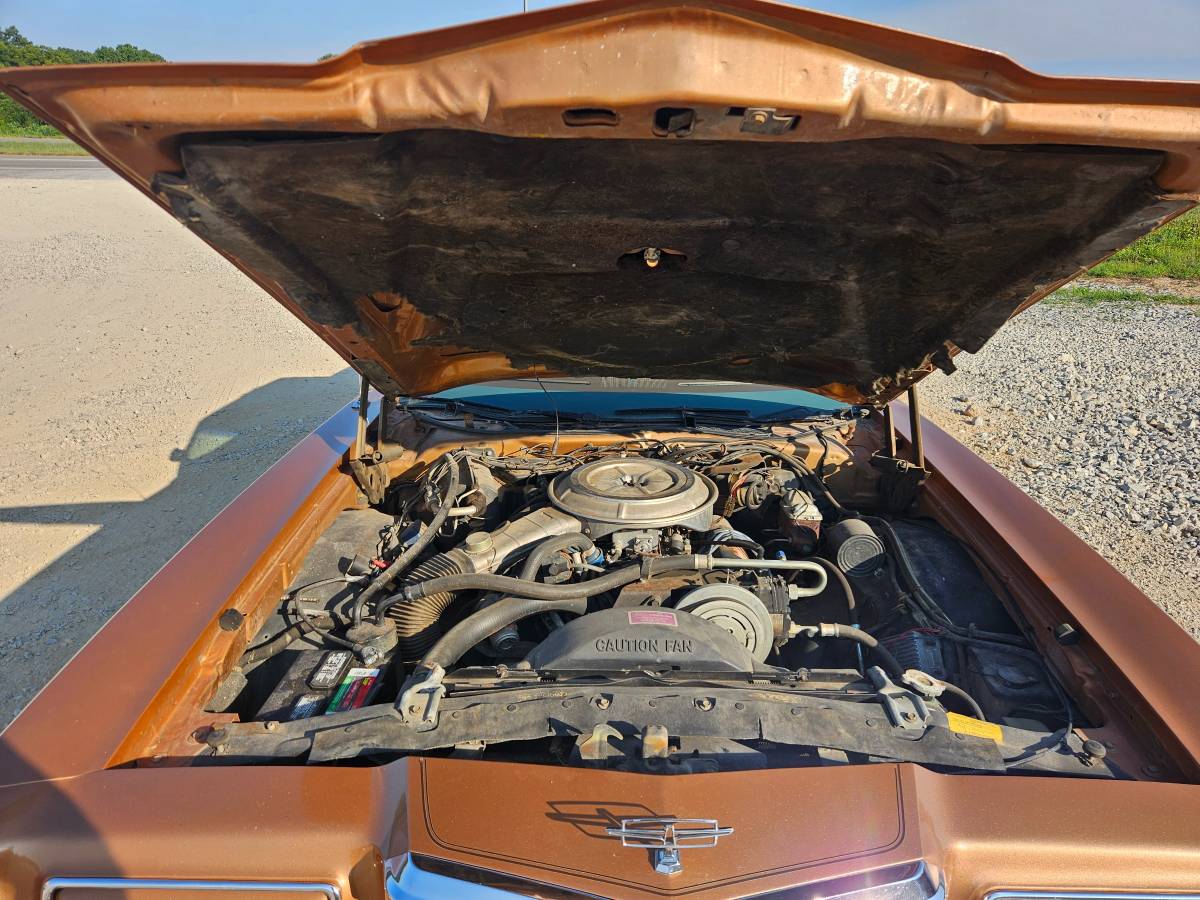 Ford-thunderbird-1978-22