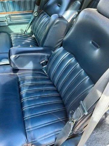Ford-thunderbird-1979-10