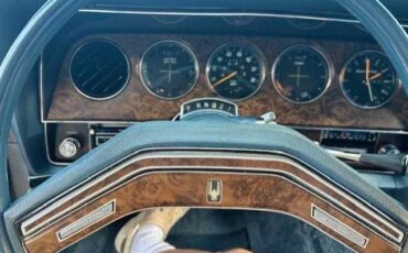 Ford-thunderbird-1979-16