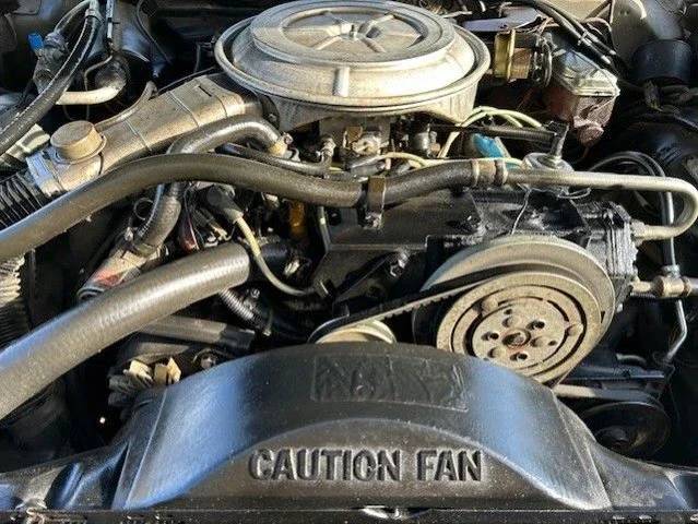 Ford-thunderbird-1979-18