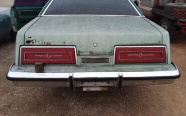 Ford-thunderbird-1979-green-1