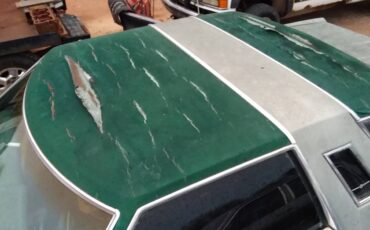 Ford-thunderbird-1979-green-13