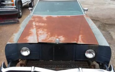 Ford-thunderbird-1979-green