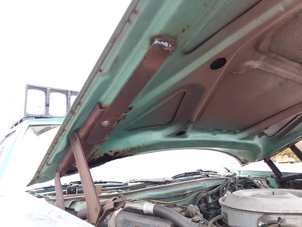 Ford-thunderbird-1979-green-4