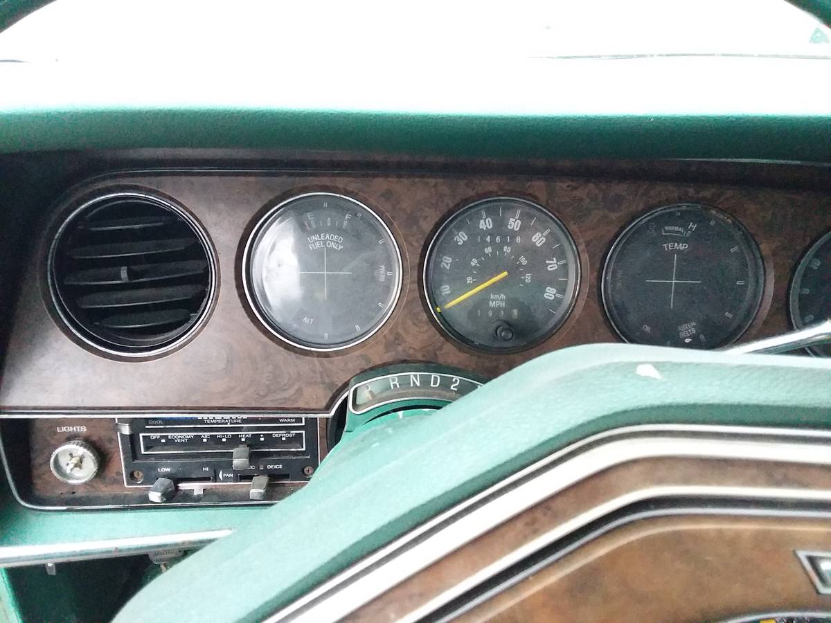 Ford-thunderbird-1979-green-6
