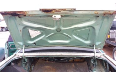 Ford-thunderbird-1979-green-7